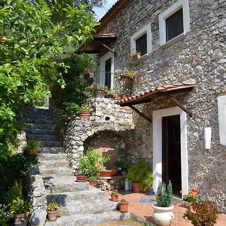 Agrestis Domus Guest House San Giovanni a Piro Luaran gambar