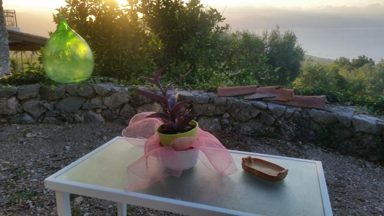 Agrestis Domus Guest House San Giovanni a Piro Luaran gambar