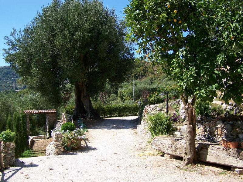 Agrestis Domus Guest House San Giovanni a Piro Luaran gambar