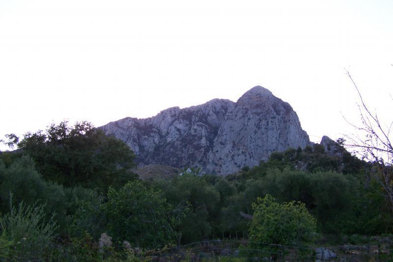 Agrestis Domus Guest House San Giovanni a Piro Luaran gambar