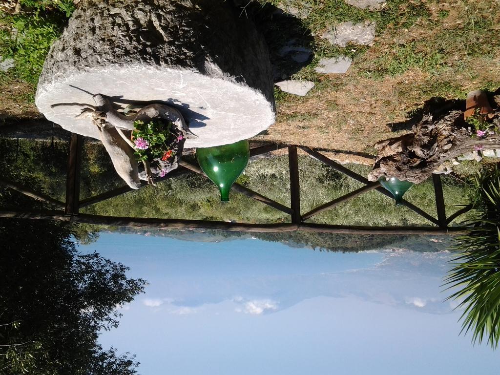 Agrestis Domus Guest House San Giovanni a Piro Luaran gambar