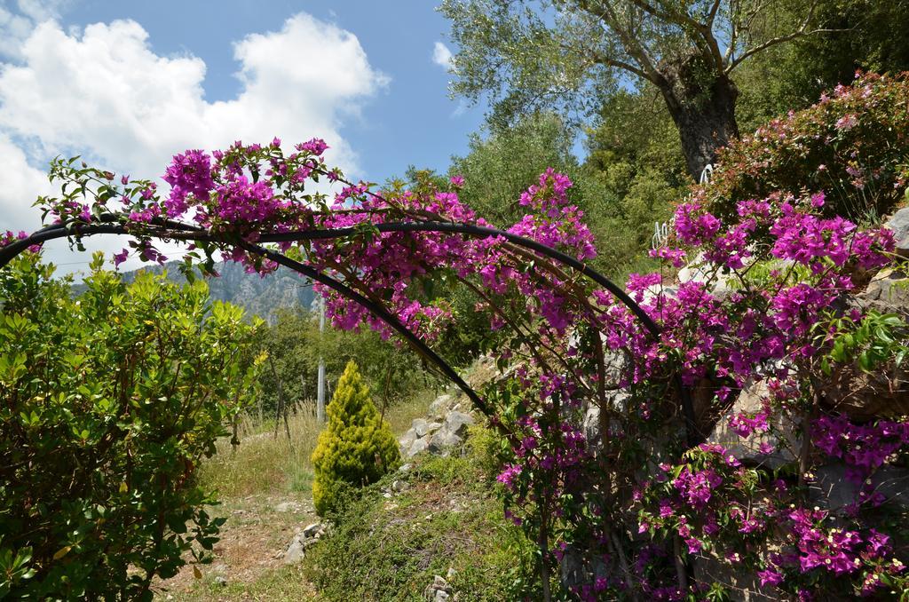 Agrestis Domus Guest House San Giovanni a Piro Luaran gambar