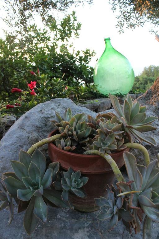 Agrestis Domus Guest House San Giovanni a Piro Luaran gambar