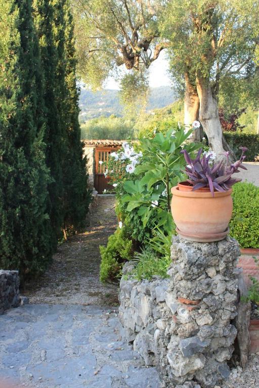 Agrestis Domus Guest House San Giovanni a Piro Luaran gambar