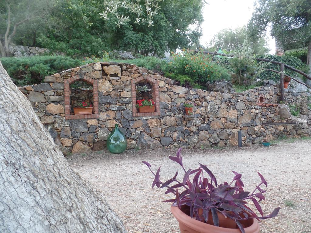 Agrestis Domus Guest House San Giovanni a Piro Luaran gambar